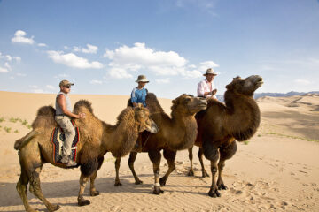 Mongolia camel trekking