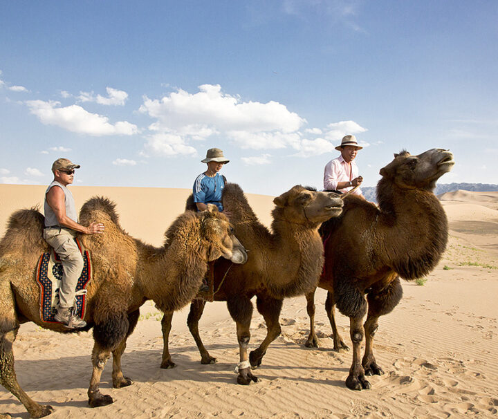 Mongolia camel trekking